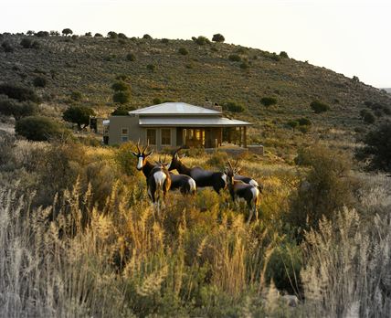 Bontebok Cottage