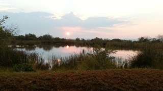 Crocuta Game Lodge | Mokopane (Potgietersrus) Self-catering