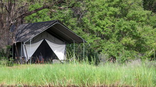 Machaba Camp | Accommodation Okavango Delta
