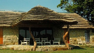 Franshoek Farm and Polo School | Ficksburg Accommodation
