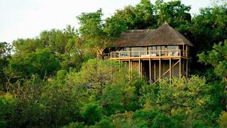 Leopard Hills Private Game Reserve | Leopard Hills Private Game Reserve Accommodation