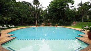 The Olive Sunbird | Accommodation Pennington