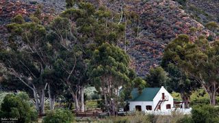 Kredouw Olive Estate | Prince Albert Self-catering