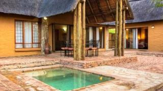 Drongo Bush Lodge | Accommodation Hoedspruit