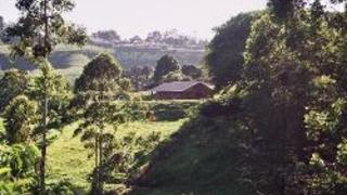 Chillifields B&B | Self-catering Assagay