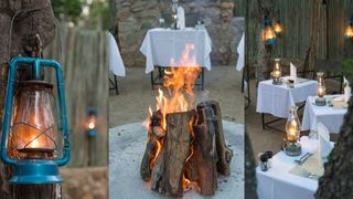 Toro Yaka Bush Lodge | Balule Nature Reserve Accommodation