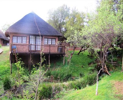 adventures g code voucher Kwele Sediba