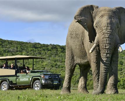 Shamwari Private Game Reserve