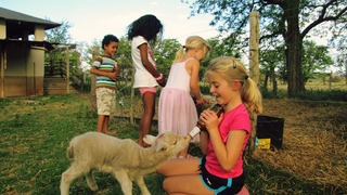 Knowsley Country Cottage | Accommodation Tarkastad