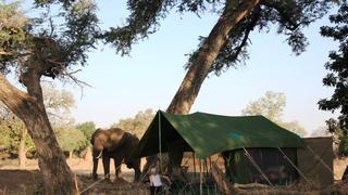 Tailormade Safaris- Mana Pools | Mana Pools National Park Accommodation