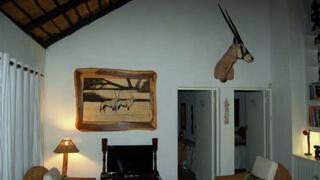 Bush Baby Lodge | Marloth Park Lodges