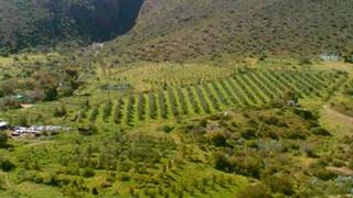 Buffelshoek Farm Cottage | Van Wyksdorp Accommodation