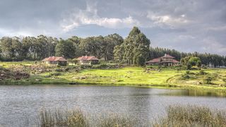 Springgrove Estate | Chrissiesmeer Accommodation