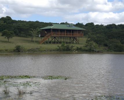 Ferndale Bush Lodge
