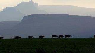 Mountain View Ranch | Kamberg Nature Reserve Accommodation