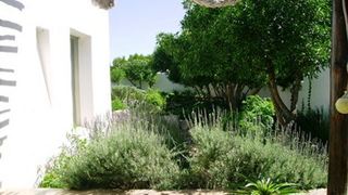 Friend's Goodwill | Paternoster Accommodation