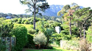 Manor Fest Mountain Cabins | Hout Bay Accommodation