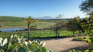 Groenvlei Guest Farm | Cape Peninsula Specials