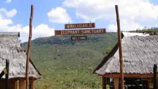 Travellers Mwaluganje Elephant Camp | Accommodation Kwale