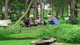 Camp Carnelley's | Lake Naivasha Accommodation