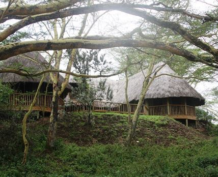 Kigio Wildlife Camp