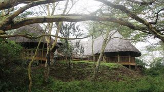 Kigio Wildlife Camp | Accommodation Lake Naivasha
