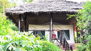 Crater Lake Camp | Lake Naivasha Accommodation