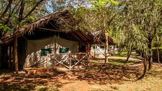 Maasai Ostrich Resort | Athi Accommodation
