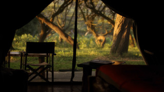 Lemala Ngorongoro | Accommodation Ngorongoro Crater Conservancy