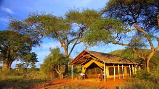 The Anasa Safari Collection - Babu's Camp | Mkomazi National Park Accommodation