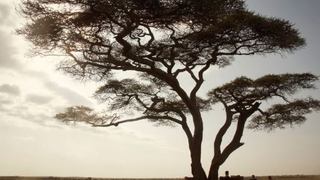 Nomad Tanzania - Nduara Loliondo | Serengeti National Park Accommodation