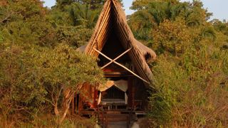 Nomad Tanzania - Greystoke Mahale | Lake Tanganyika Accommodation