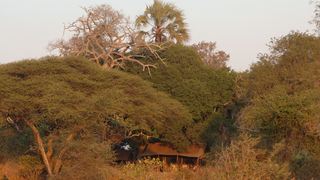 Nomad Tanzania - Chada Katavi | Accommodation Katavi National Park
