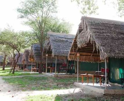 Tarangire Safari Lodge