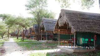 Tarangire Safari Lodge | Accommodation Tarangire National Park