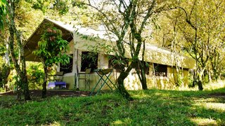 Nalepo Mara Camp | Accommodation Maasai Mara National Reserve