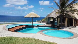 Oyster Bay Estate | Mozambique Specials