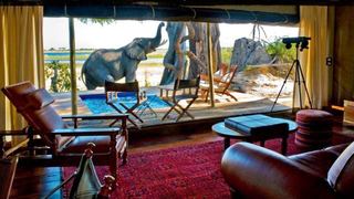 Zarafa Camp | Selinda Accommodation