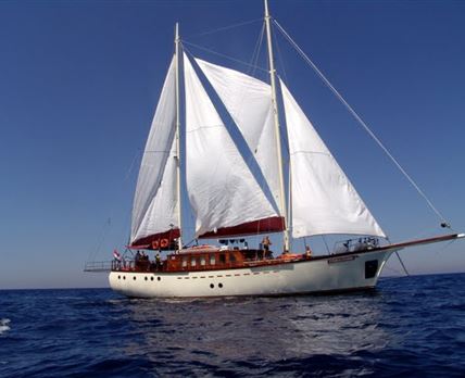 Morning Star