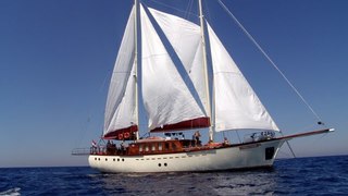 Morning Star | Split Accommodation