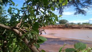 Lion King Bush Camp | Samburu National Reserve Accommodation