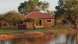 Tivan Safaris | Tom Burke Accommodation