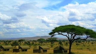 Kananga Special Tented Camp | Serengeti National Park Accommodation