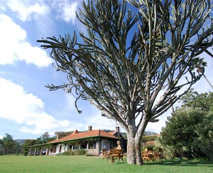 Kongoni Lodge