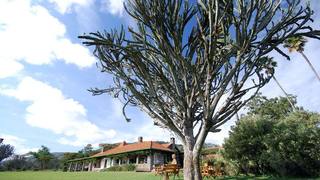 Kongoni Lodge | Accommodation Lake Naivasha