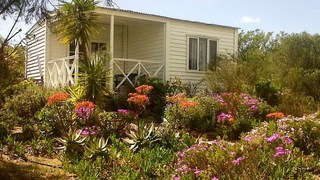 Country Cabin | Africa Specials
