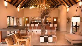 Moditlo River Lodge | Hotels Hoedspruit