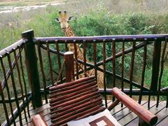 Majuli River Lodge | Accommodation Marloth Park