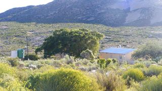 Morewag Guest Farm | Springbok Accommodation