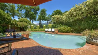 Dendron of Constantia | Constantia Accommodation